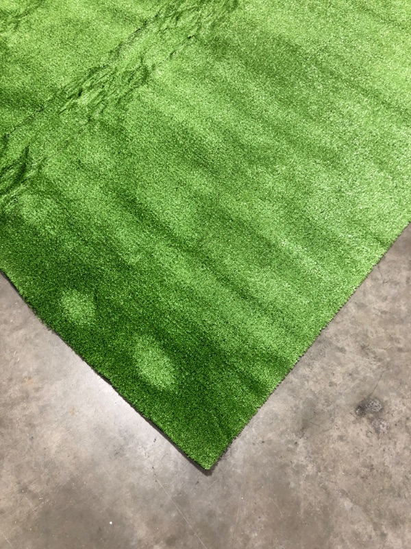 Photo 2 of Artificial Grass Area Rug, 8 x 10.