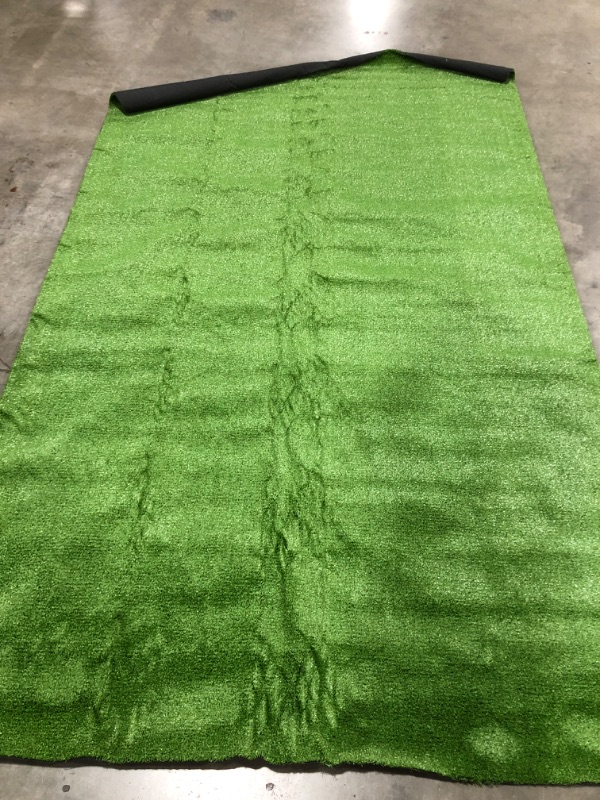 Photo 1 of Artificial Grass Area Rug, 8 x 10.