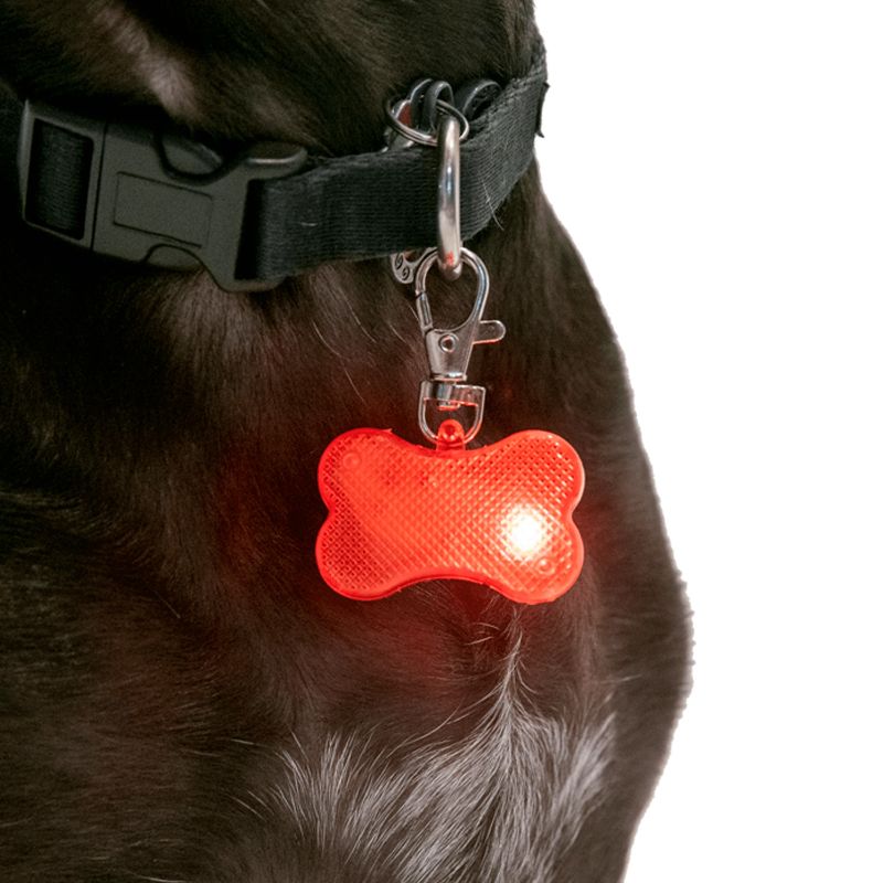 Photo 1 of 4 PACK CLIP ON SAFETY DOG LIGHT NEW $59.96