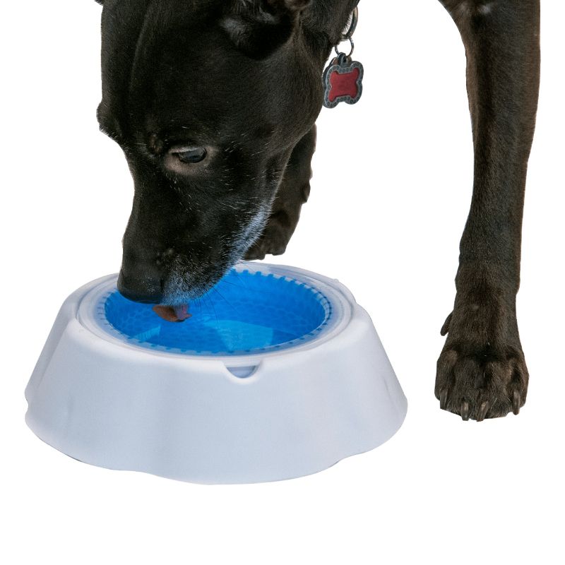Photo 1 of INTELLIGENT LIVING SOLUTION PET WATER BOWL CHILLER NEW 
$39.99
