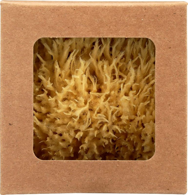 Photo 5 of Baudelaire, Sea Sponge Caribbean Wool 4.5 In, 1 Count New