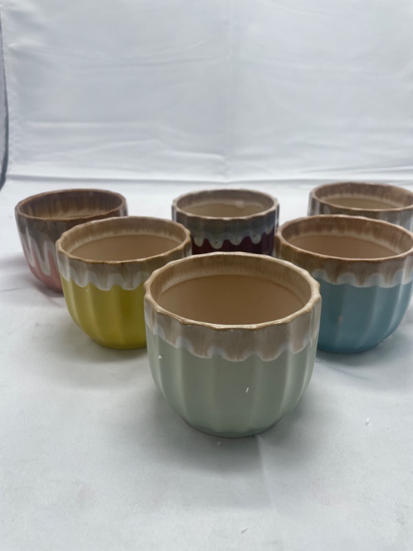 Photo 1 of 6 pack rosoli small plant vases multi color new 