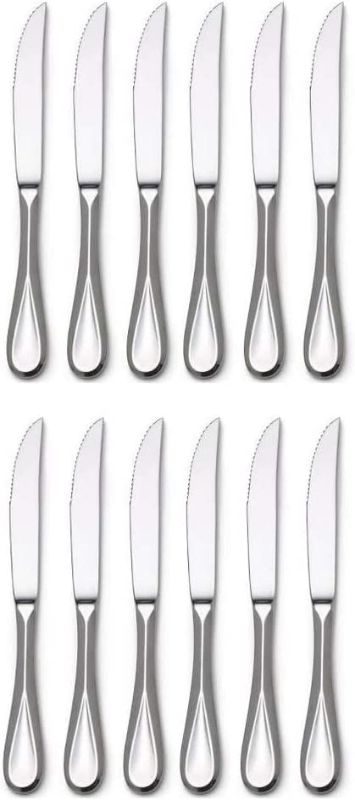 Photo 1 of Mikasa Bravo Premium Stainless Steel Steak Knife, Silver (Set of 12)