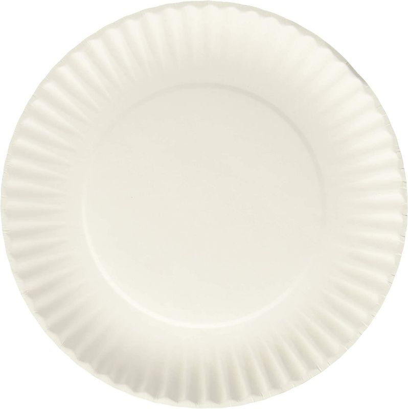 Photo 1 of Nicole Home Collection 200 Count Everyday Dinnerware Paper Plate, 9-Inch, White
