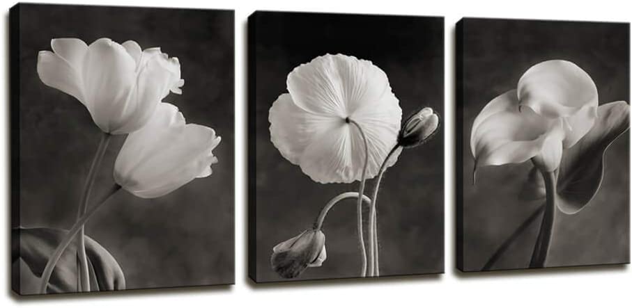 Photo 1 of Canvas Wall Art Contemporary Simple Life White Flower Lily Painting Wall Art Decor - 3 Panels Framed Canvas Prints Black and white Style Giclee Artwork Ready to Hang Home Decorations Office Decor Gift