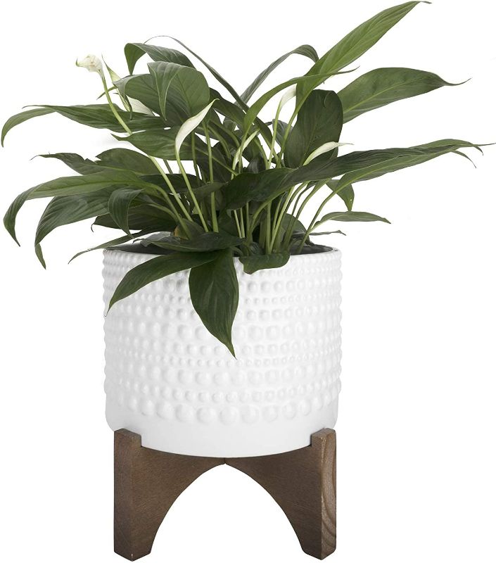 Photo 1 of LA JOLIE MUSE Ceramic Planter with Wood Stand - 8 Inch White Cylinder Embossed Hobnail Patterned Flower Plant Pot Indoor