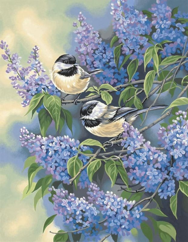 Photo 1 of Dimensions PBN 11x14 Chickadees&Lilacs, None