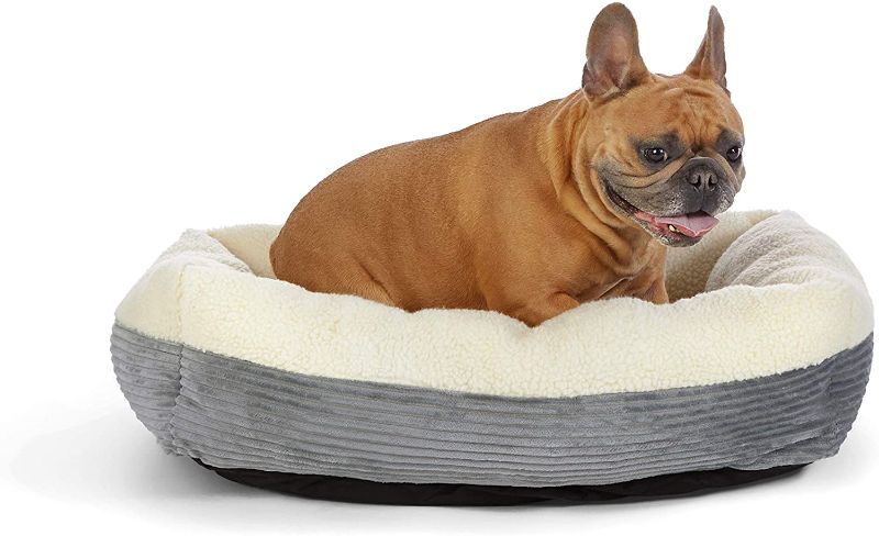 Photo 1 of Amazon Basics Warming Pet Bed For Cats or Dogs