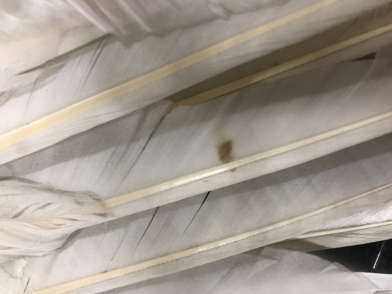 Photo 2 of 2 pcs of white bird craft wings