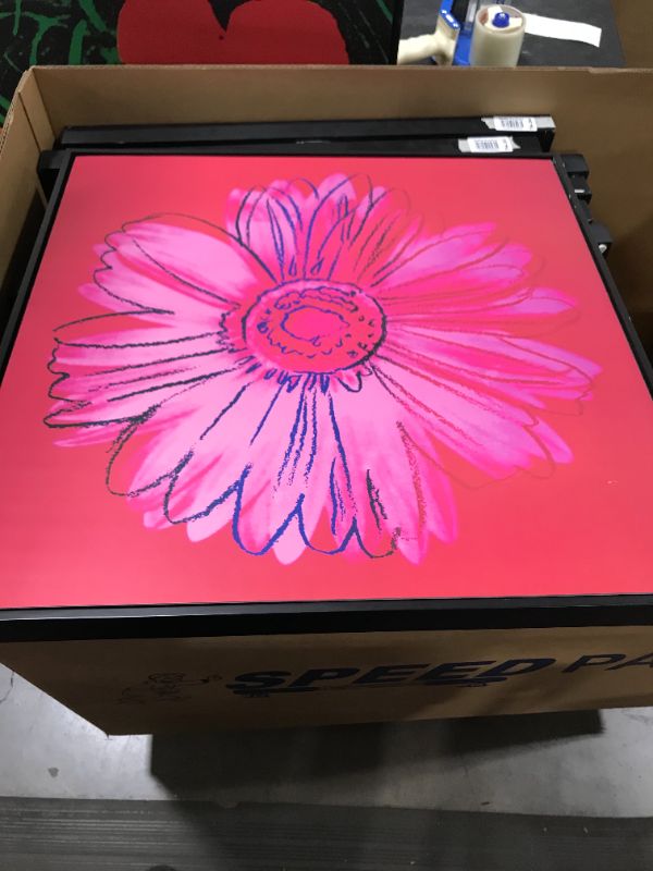 Photo 1 of 24 1/4 x 24 1/4 crimson, pink on pink daisy canvas framed in black