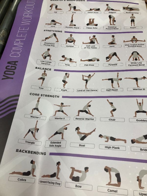 Photo 1 of Yoga Positions Poster 4pk