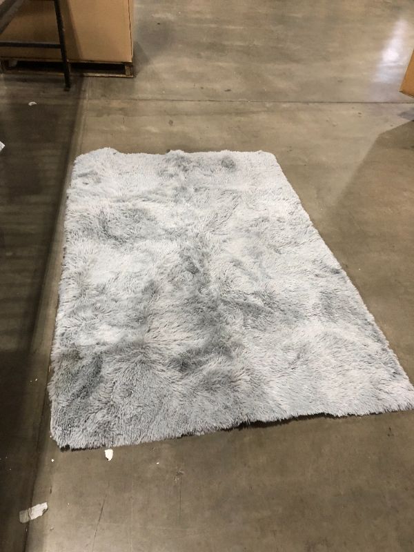 Photo 1 of 4 x 6 ft grey shag rug