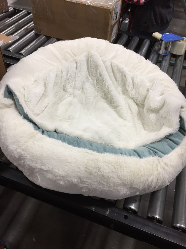Photo 2 of Best Friends by Sheri OrthoComfort Ilan Bolster Cat & Dog Bed
