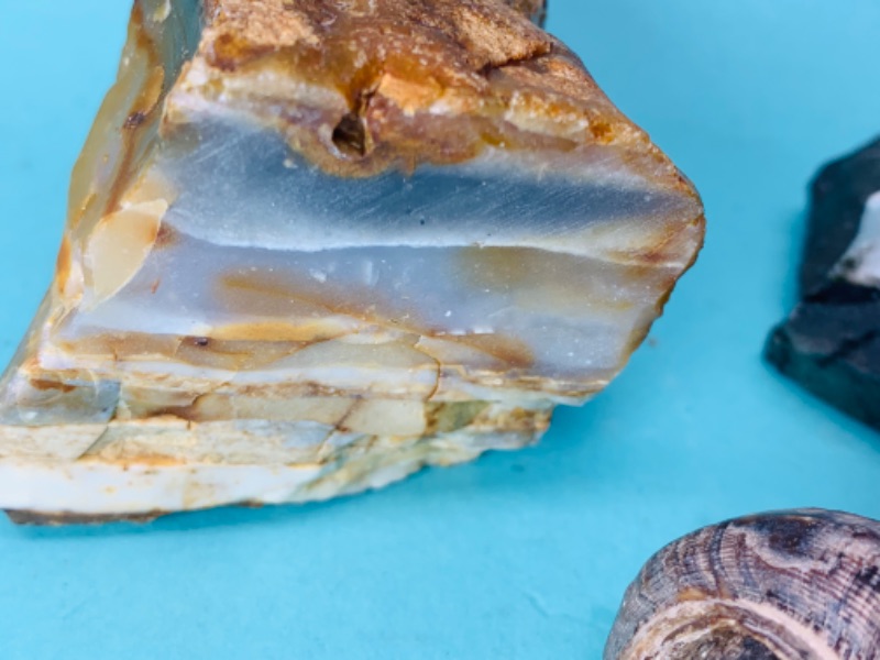 Photo 1 of 802880…5 natural geodes, formations, petrified seashell 