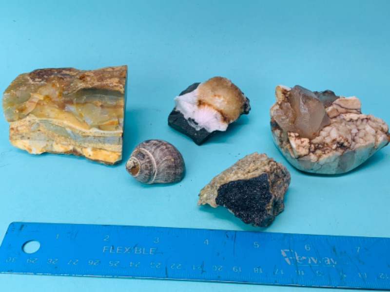 Photo 1 of 802880…5 natural geodes, formations, petrified seashell 