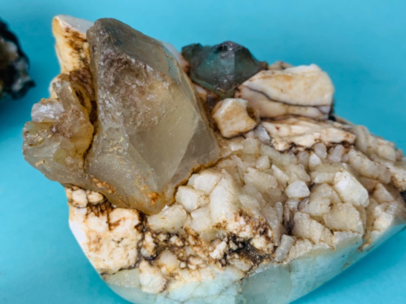 Photo 6 of 802880…5 natural geodes, formations, petrified seashell 