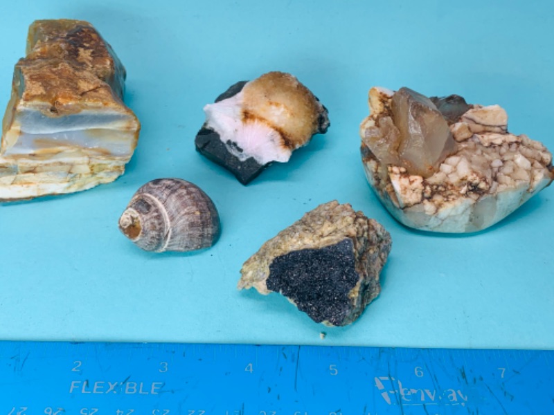 Photo 7 of 802880…5 natural geodes, formations, petrified seashell 