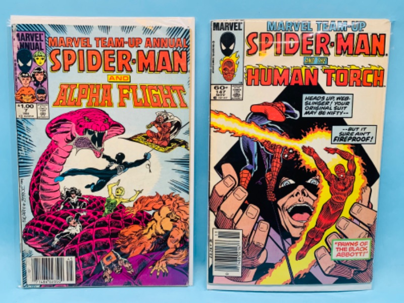 Photo 1 of 803144…2 vintage Spider-Man comics in plastic sleeves 