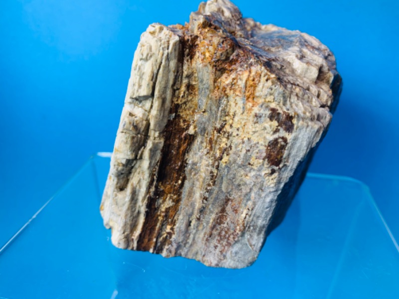 Photo 2 of 804336…5 x 3 inch petrified wood 