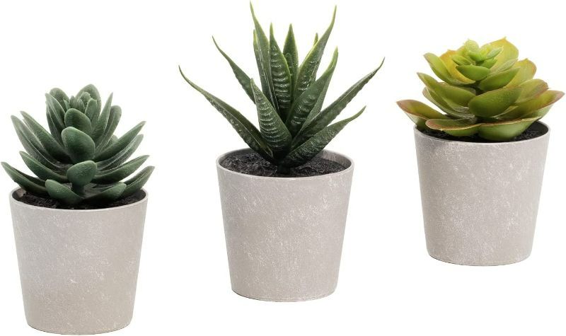 Photo 1 of Artificial Succulents Set of 3 Mini Realistic Fake Plants with Plastic Pots for Home and Office Decoration, Including Aloe, Echeveria laui and Haworthia coarctata f. greenii, 4in (H)  x 3.5in (W)  Packaging has Spill and Damage but Item is in Perfect Cond