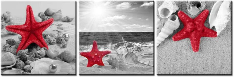 Photo 1 of Wall 4 Piece Canvas Print Black White Red Starfish Seashells on Sunrise Beach Picture Wall Art Modern Seascape Painting for Bedroom Bathroom Decor Framed Ready to Hang (Red)