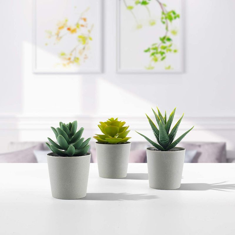 Photo 3 of Artificial Succulents Set of 3 Mini Realistic Fake Plants with Plastic Pots for Home and Office Decoration, Including Aloe, Echeveria laui and Haworthia coarctata f. greenii, 4in (H) x 3.5in (W) New 