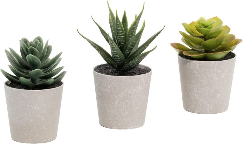 Photo 1 of Artificial Succulents Set of 3 Mini Realistic Fake Plants with Plastic Pots for Home and Office Decoration, Including Aloe, Echeveria laui and Haworthia coarctata f. greenii, 4in (H) x 3.5in (W) New 