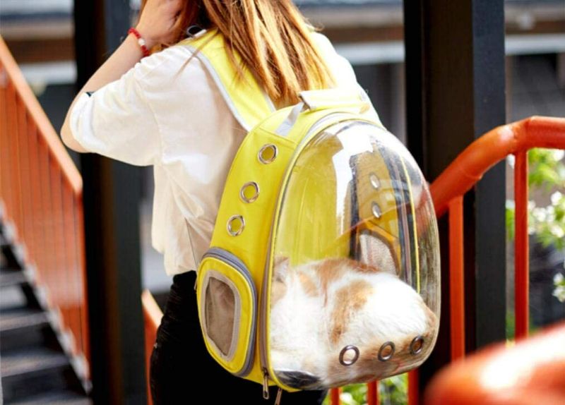 Photo 2 of  Astronaut Pet Cat Dog Kitten Puppy Carrier Backpack Travel Full-View Breathable Bag Case Capsule for Small Dog and Cats, Transparent Waterproof Hiking Camping, Airline Approved (Green) NEW 