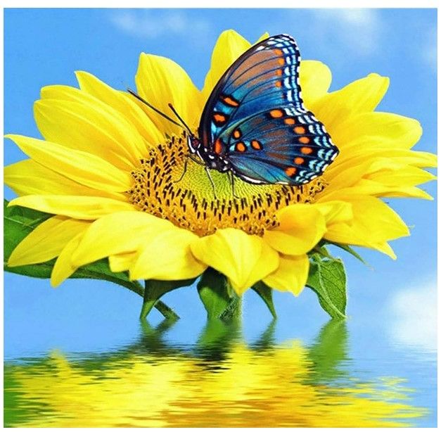 Photo 1 of Rovepic 5D Diamond Painting Kits Butterfly Sunflower Round Full Drill, DIY Paint with Diamonds Art Flower Crystal Rhinestone Cross Stitch for Home Office Wall Crafts Decorations 14×14 Inch