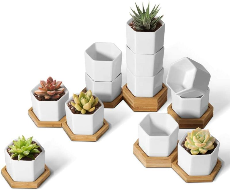 Photo 1 of T4U Small White Succulent Planter Pots with Bamboo Tray Hexagon Set of 12, Geometric Cactus Plant Holder Container for Home Office Decoration for Mom Aunt Sisiter Daughter Gardener NEW 