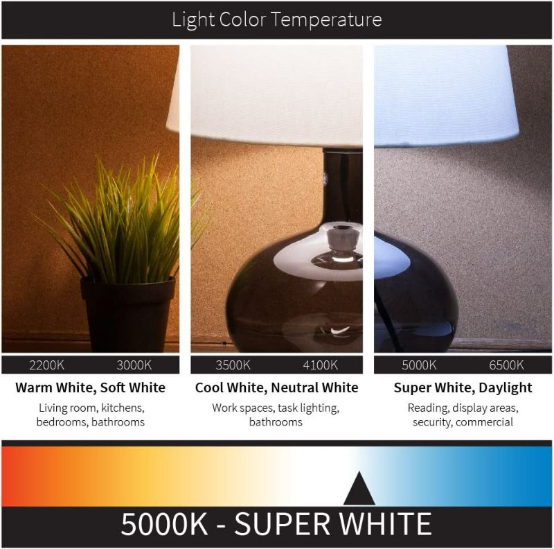 Photo 2 of Sunlite A19/LED/10W/50K/220V LED A19 Household 10W (60W Equivalent) Medium (E27) Base Light Bulb, 5000K, Super White NEW 