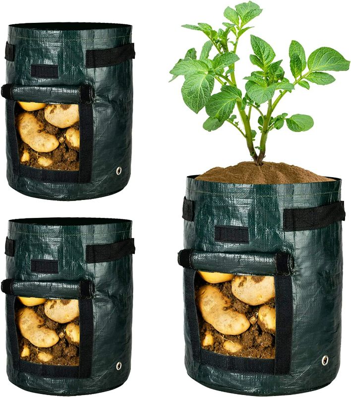 Photo 1 of 3-Pack  Potato Grow Bags Garden Waterproof Reusable Vegetable Plant Pots Container with Handle, Access Flap and Large Harvest Window, , for Tomato, Carrot, Fruits  NEW 