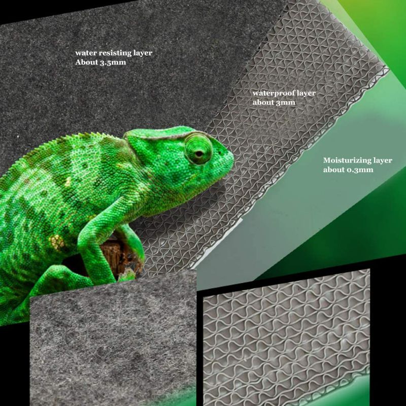 Photo 1 of  Reptile Carpet 19.7x11.8inch Green New 