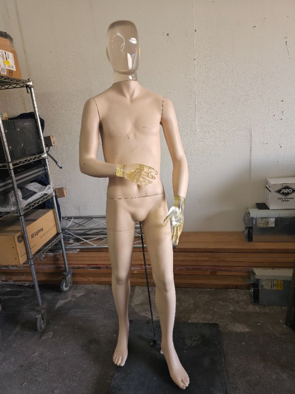 Photo 1 of almost 6 foot tall mannequin with solid acrylic head and hands This head that look like an alien is super cool small chips on paint of body 
