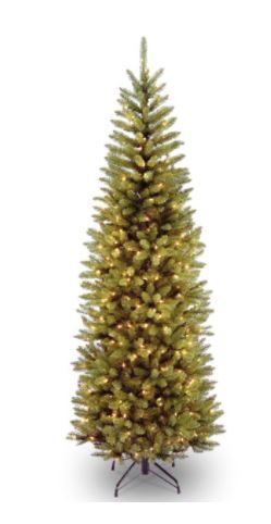 Photo 1 of 6' Pre-Lit Kingswood Green Fir Pencil Artificial Christmas Tree - Clear Lights