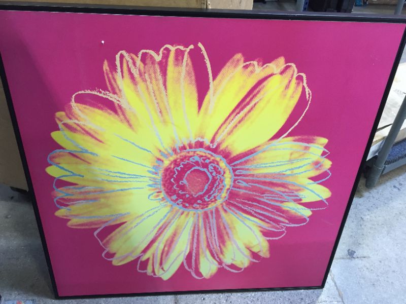 Photo 3 of w876 Daisy C, pink - 36" x 36"