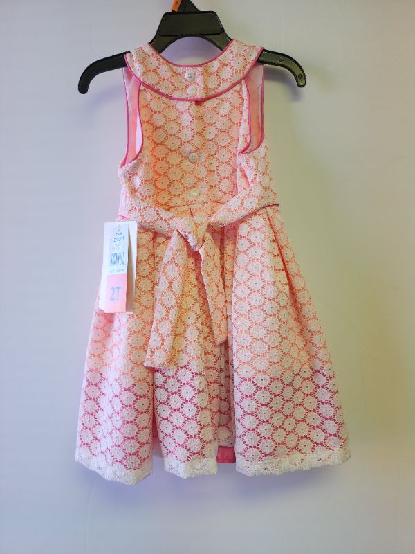 Photo 3 of  JONA MICHELLE SPECIAL OCCASION PIK GIRL DRESS 2T