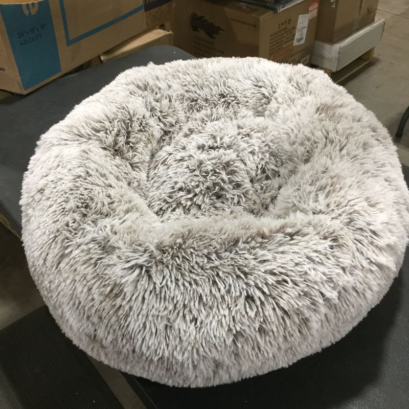 Photo 2 of donut dog bed for small/medium dogs