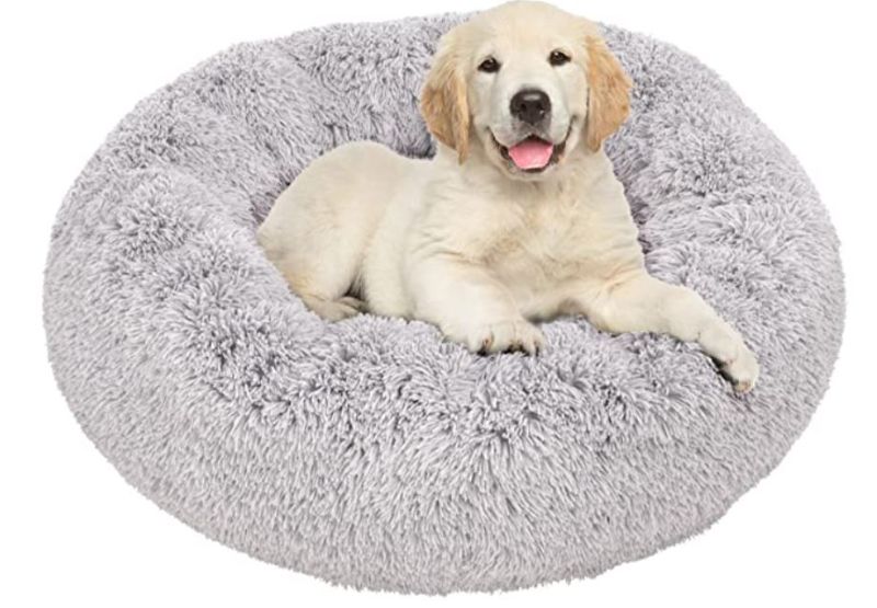 Photo 1 of donut dog bed for small/medium dogs