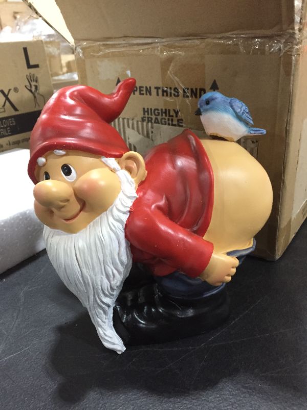 Photo 2 of Design Toscano Loonie Moonie Bare Buttocks Garden Gnome Statue, Medium 8 Inch, Polyresin, Full Color