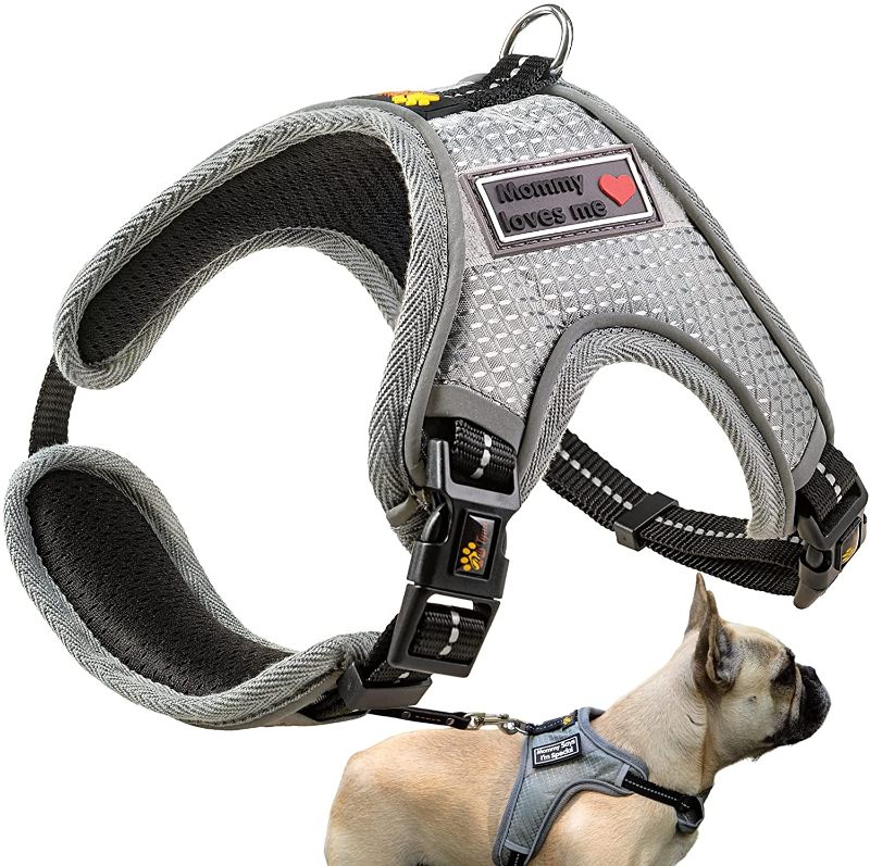 Photo 1 of ADITYNA No Pull Dog Harnesses for Small and X-Small Dogs - No Escape Dog Harness - Reflective and Soft Padded Harness - Easy Adjustable for Everyday Use