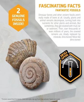 Photo 2 of Discovery #MINDBLOWN Mini Fossil Dig Set, 2 Pack Excavation Kit, Interactive Archaeology Paleontology Experiment, Learn Science, Fun and Educational STEM Toy for Kids  - These unique kits feature authentic fossils that you may never see in the wild. This 