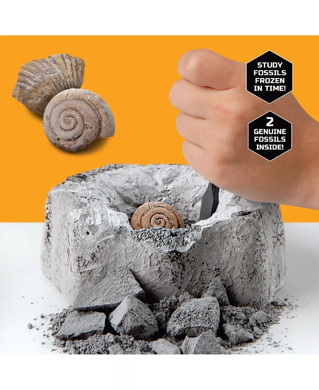 Photo 4 of Discovery #MINDBLOWN Mini Fossil Dig Set, 2 Pack Excavation Kit, Interactive Archaeology Paleontology Experiment, Learn Science, Fun and Educational STEM Toy for Kids  - These unique kits feature authentic fossils that you may never see in the wild. This 