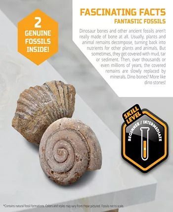 Photo 3 of Discovery #MINDBLOWN Mini Fossil Dig Set, 2 Pack Excavation Kit, Interactive Archaeology Paleontology Experiment, Learn Science, Fun and Educational STEM Toy for Kids  - These unique kits feature authentic fossils that you may never see in the wild. This 