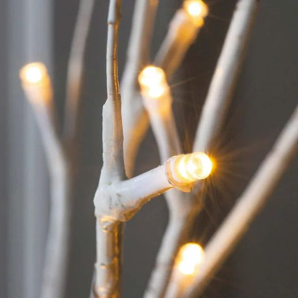 Photo 3 of Evergreen 39" LED White Birch Branches with Batteries, Pack of 2 INSIDE 1 BOX. Birch Branches is an eye-catching accent for any season. Each is studded with 20 warm white LED lights on flexible branches that offer a rustic, natural appeal.These branches o