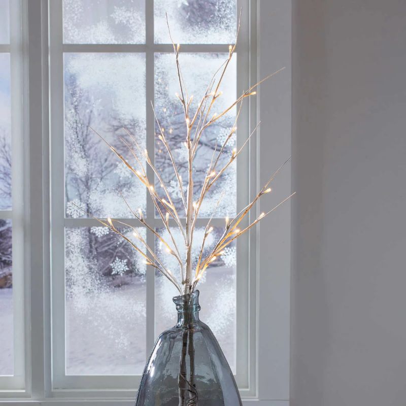 Photo 1 of Evergreen 39" LED White Birch Branches with Batteries, Pack of 2 INSIDE 1 BOX. Birch Branches is an eye-catching accent for any season. Each is studded with 20 warm white LED lights on flexible branches that offer a rustic, natural appeal.These branches o
