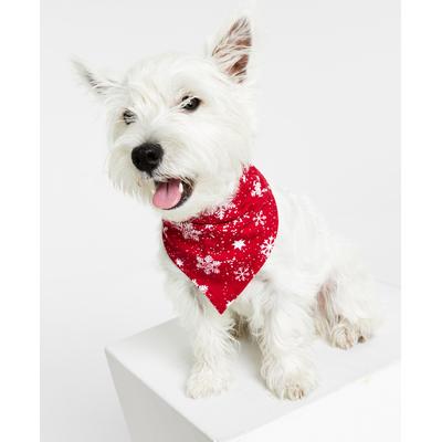 Photo 1 of SIZE L/XL - Matching Pet Merry Snowflake Bandana, Created for Macy's - Candy Red - Christmas - Holidays