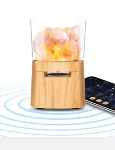 Photo 1 of Lomi Speaker Himalayan Salt Wood Wireless Bluetooth Lamp Speaker - Light