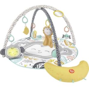 Photo 1 of Fisher-Price Snugamonkey Go Bananas Baby Gym/Activity Play Mat w/ Music & Lights NEW IN BOX