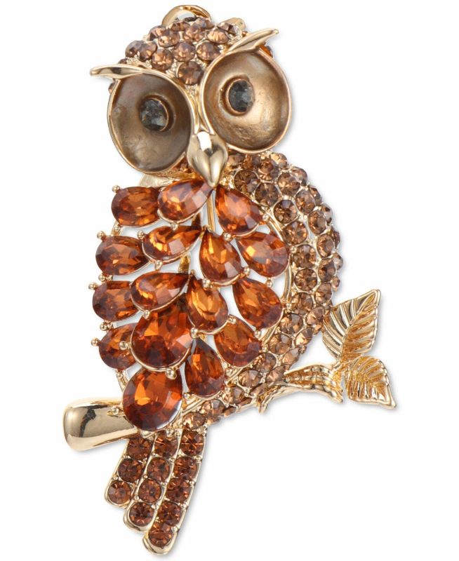 Photo 1 of Charter Club Gold-Tone Crystal and Stone Owl Pin / GIFT BOX